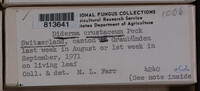 Image Associated With the Occurence